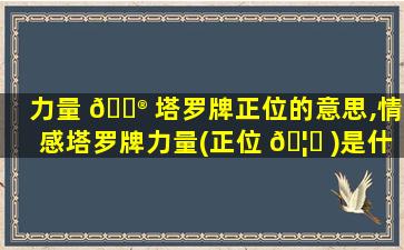 力量 💮 塔罗牌正位的意思,情感塔罗牌力量(正位 🦄 )是什么意思